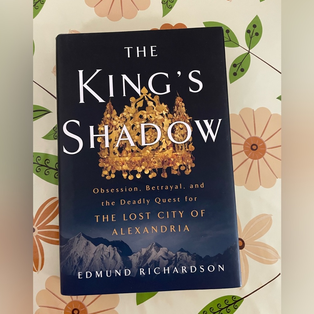 4/$20📚The King's Shadow Hardcover Book by Edmund Richardson